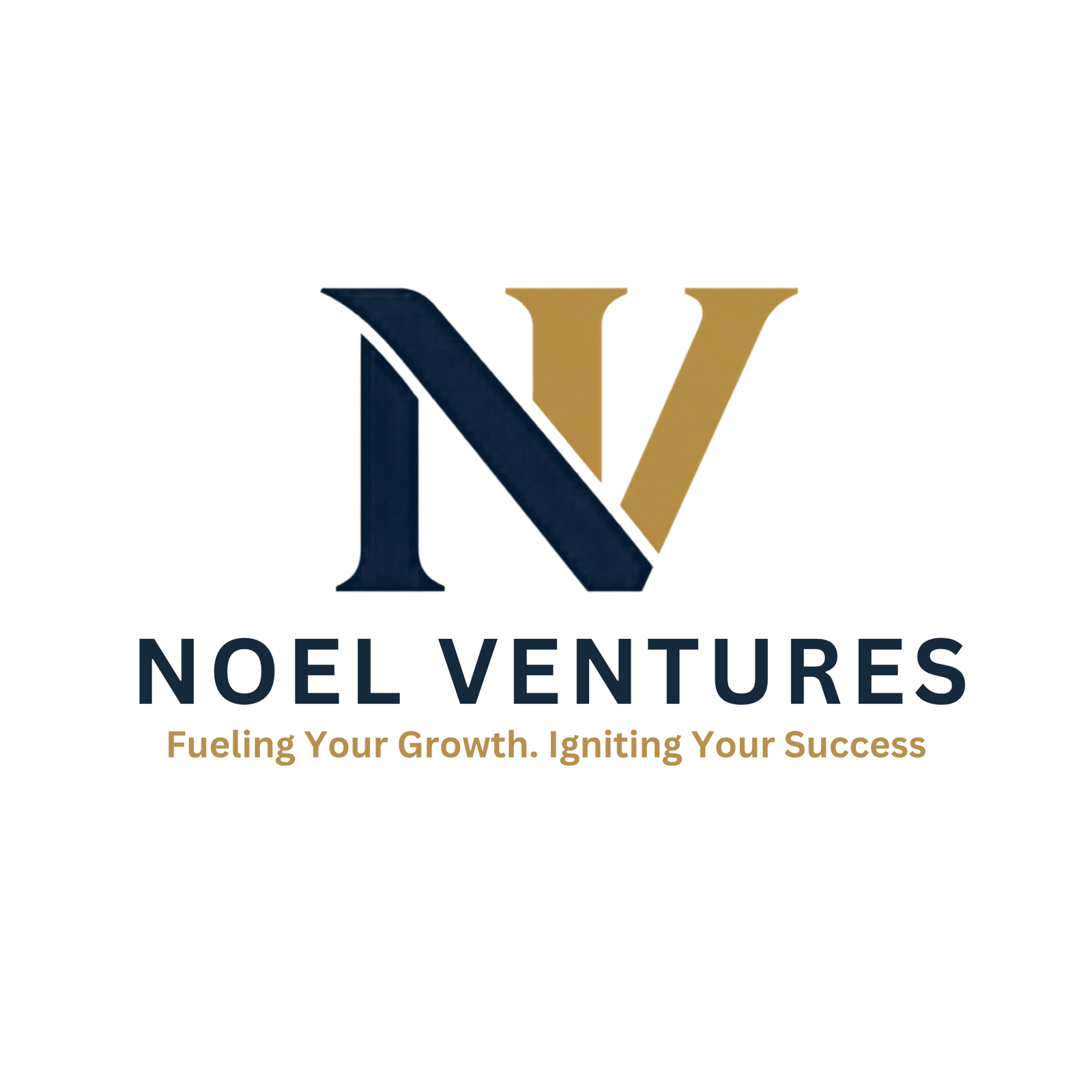 Noel Ventures Logo